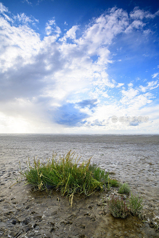 Wad或wadden空景观在瓦登海自然保护区'de wadden '与潮汐沙滩在荷兰北部